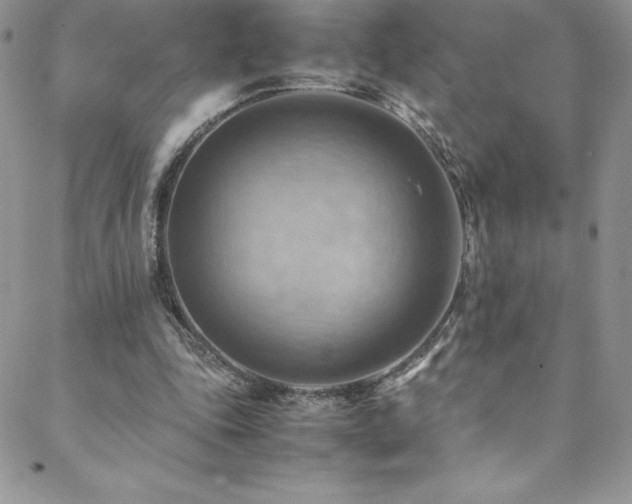 X0000088600343200705251219