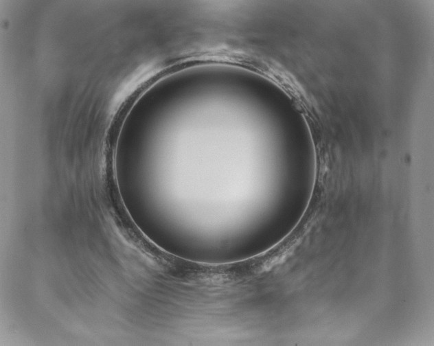 X0000088600344200705251219