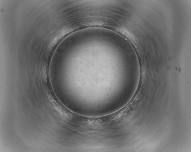 X0000088600345200705251219