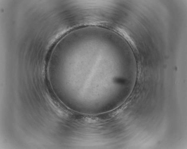 X0000088600346200705251220