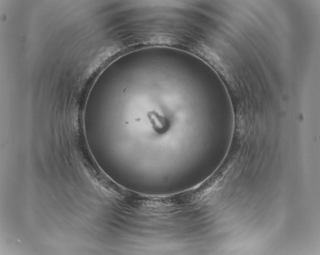 X0000088600347200705251220