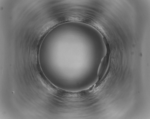 X0000088600349200705251220