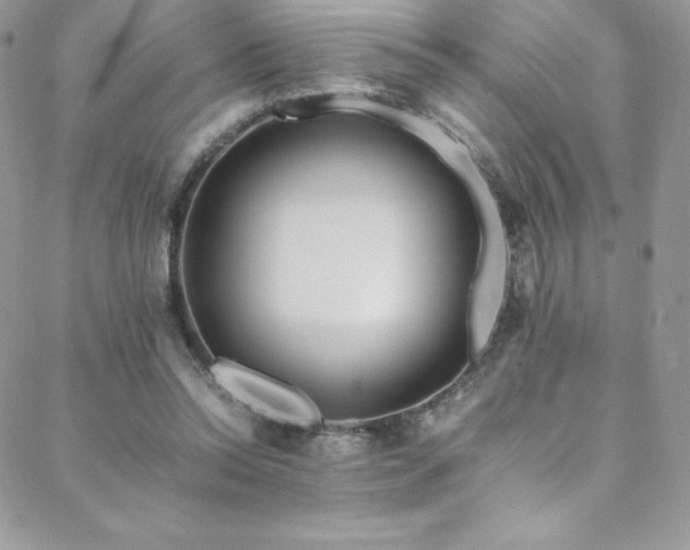 X0000088600350200705251220