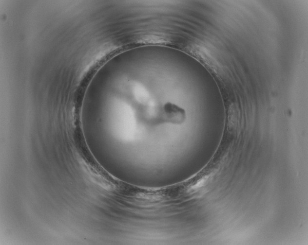 X0000088600351200705251220