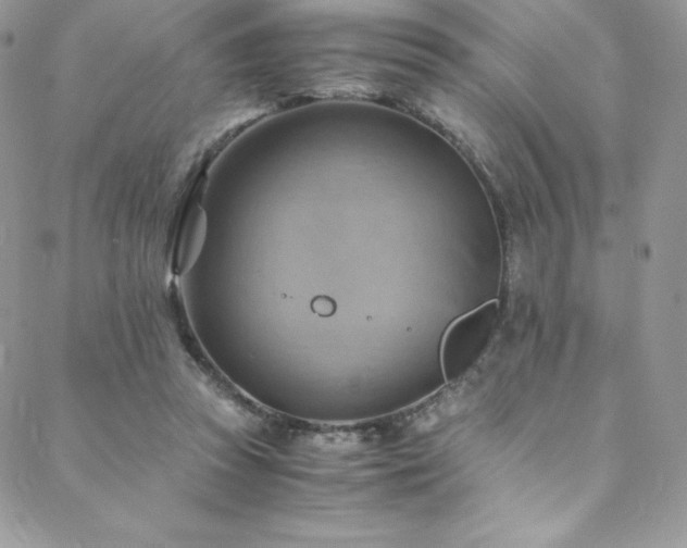 X0000088600353200705251220