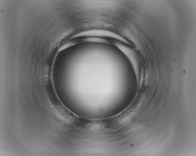 X0000088600356200705251220