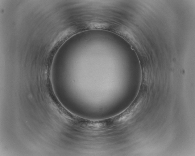 X0000088600357200705251220