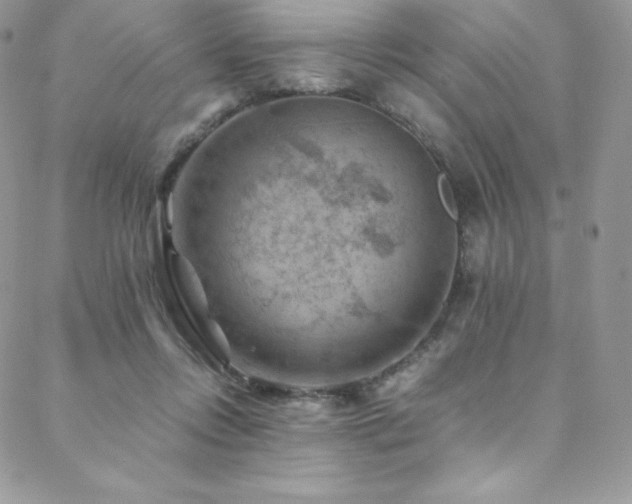 X0000088600358200705251220