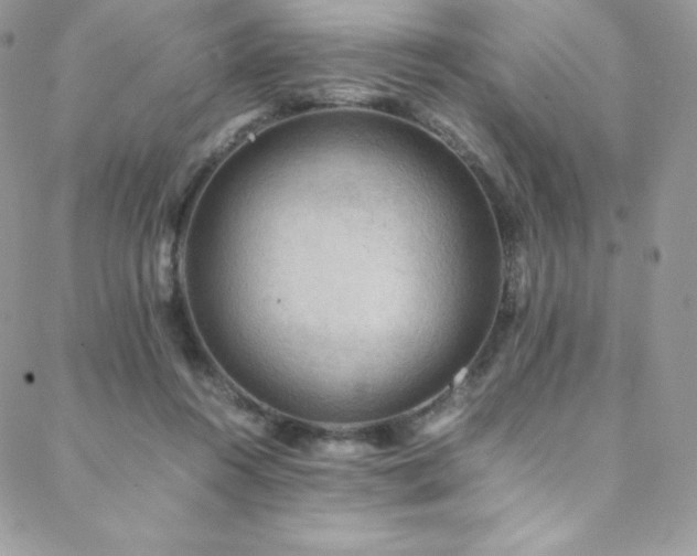 X0000088600360200705251220