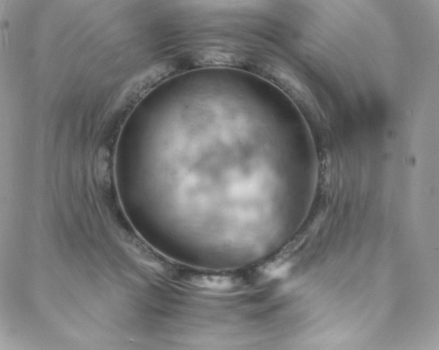 X0000088600361200705251220