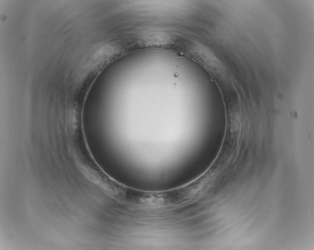 X0000088600362200705251220