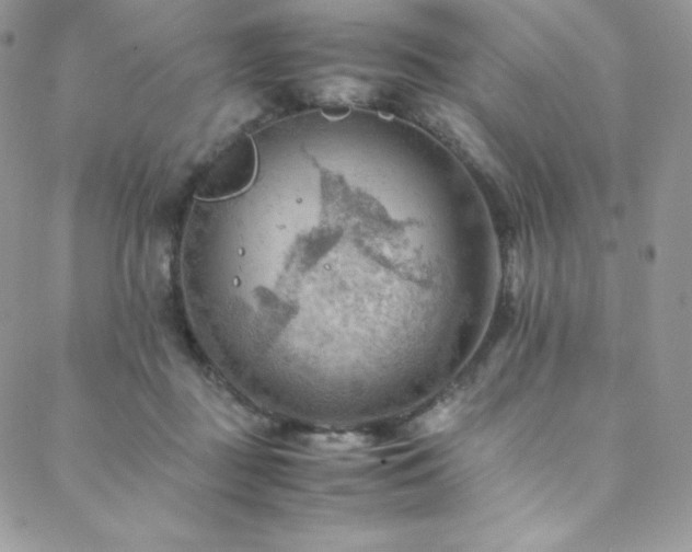 X0000088600363200705251220