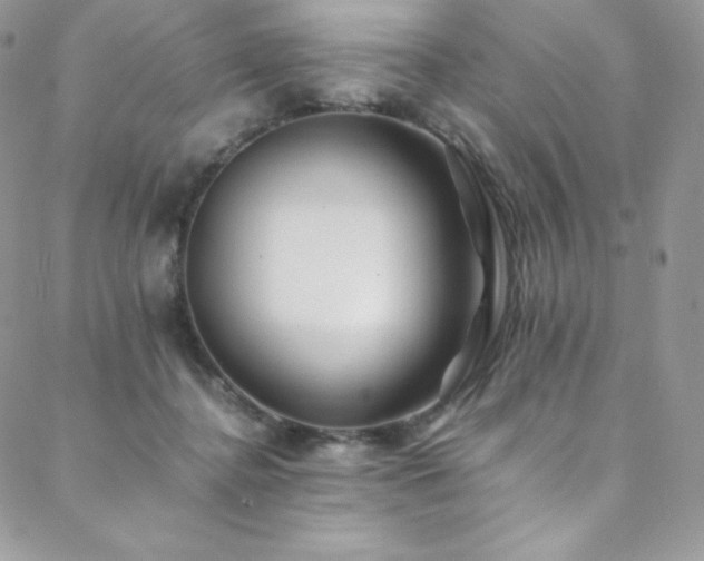 X0000088600364200705251220