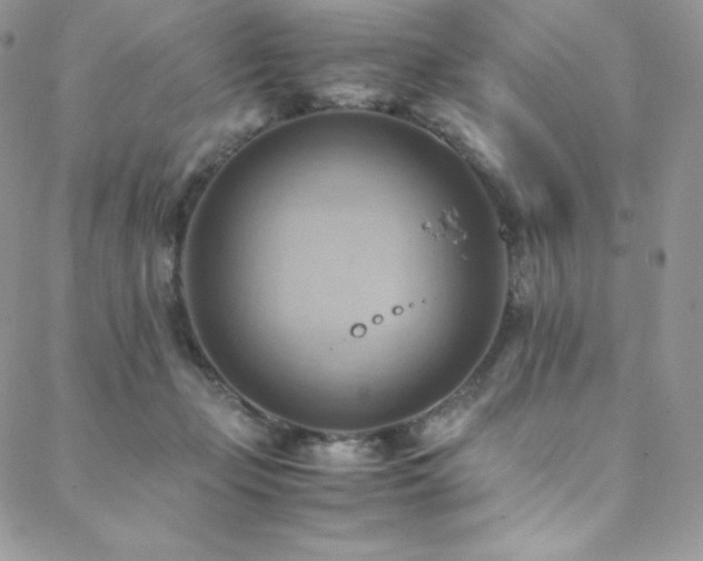 X0000088600365200705251220