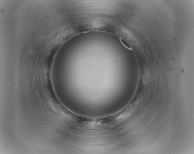 X0000088600366200705251220