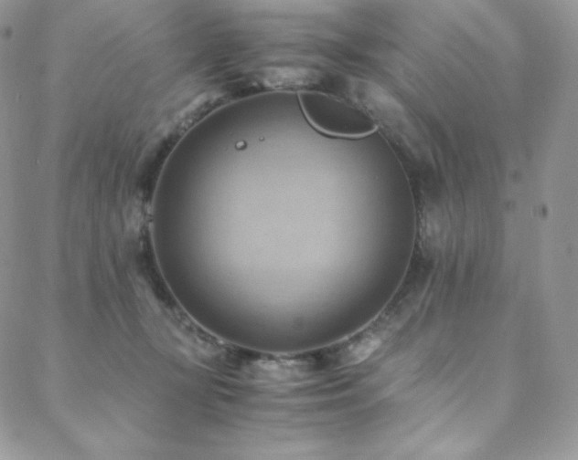 X0000088600367200705251220