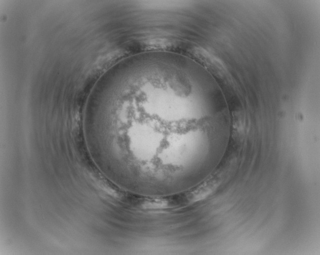 X0000088600369200705251220