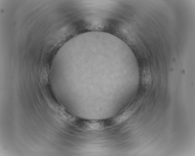 X0000088600370200705251220