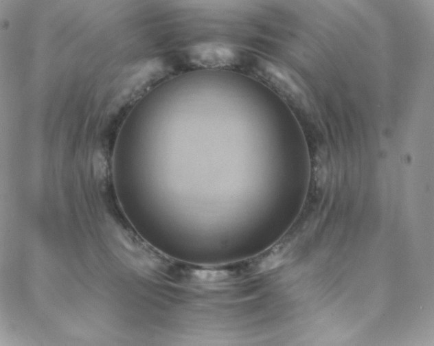 X0000088600371200705251220