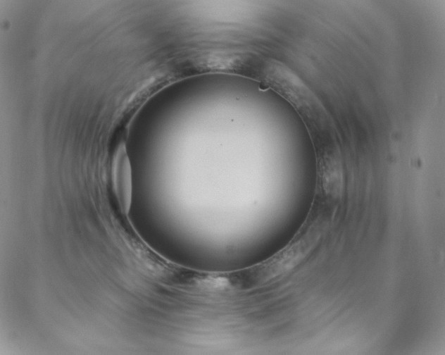 X0000088600374200705251220