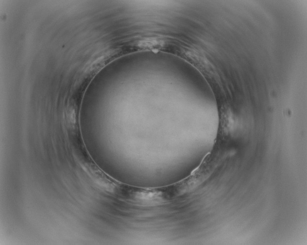 X0000088600375200705251220