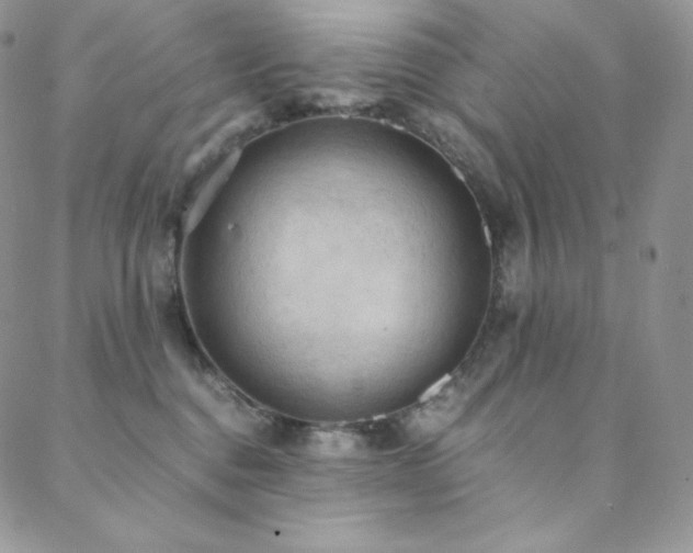 X0000088600376200705251220