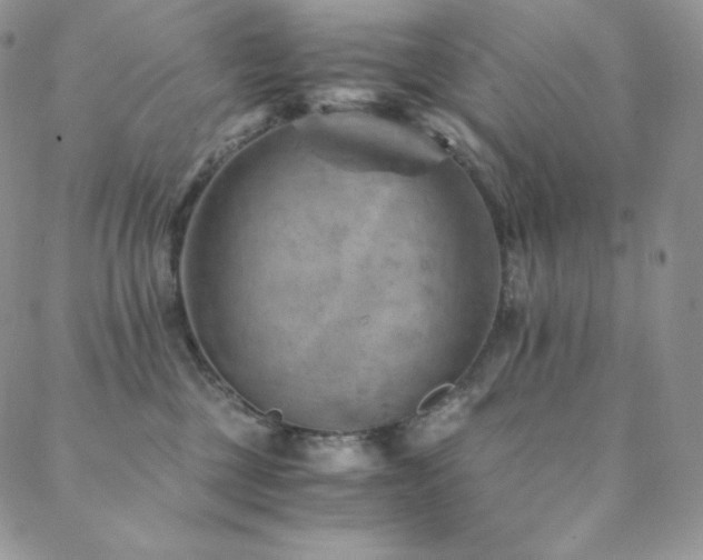 X0000088600377200705251220