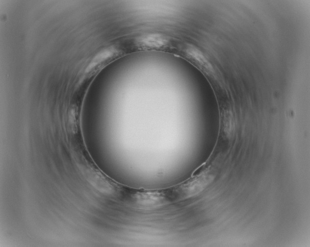 X0000088600378200705251220