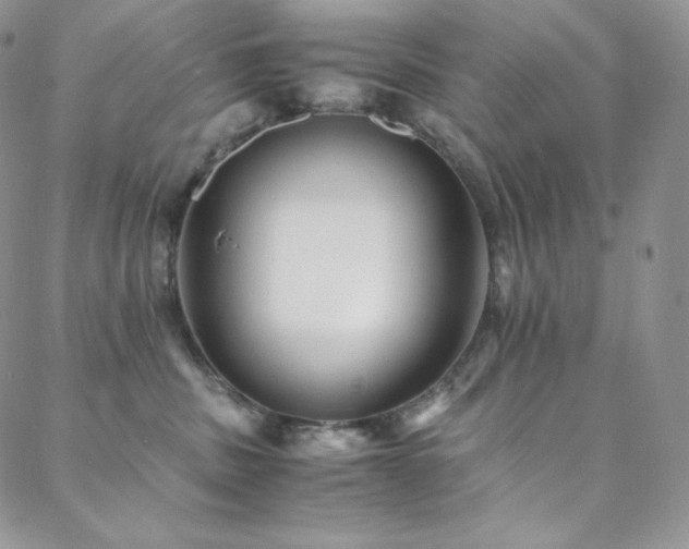 X0000088600379200705251220