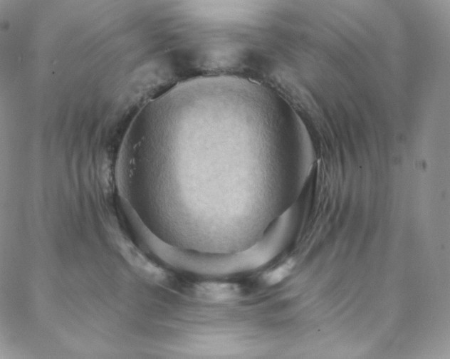 X0000088600380200705251220