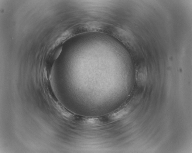 X0000088600382200705251220