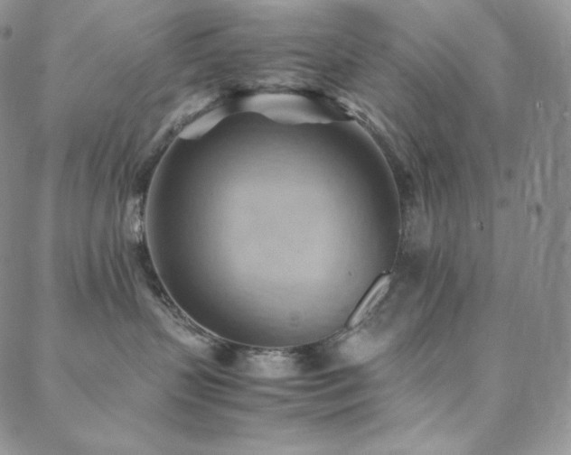 X0000088600383200705251220