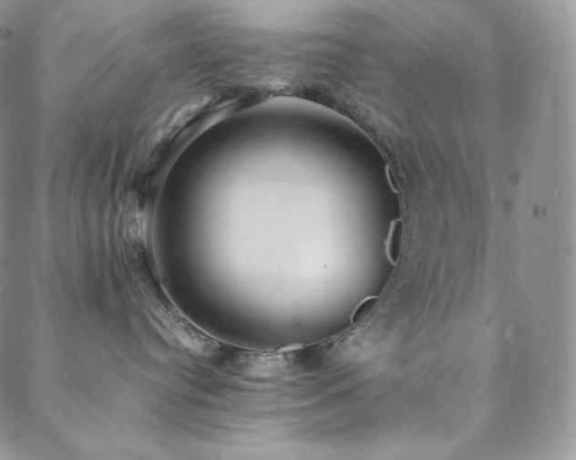 X0000088600384200705251220