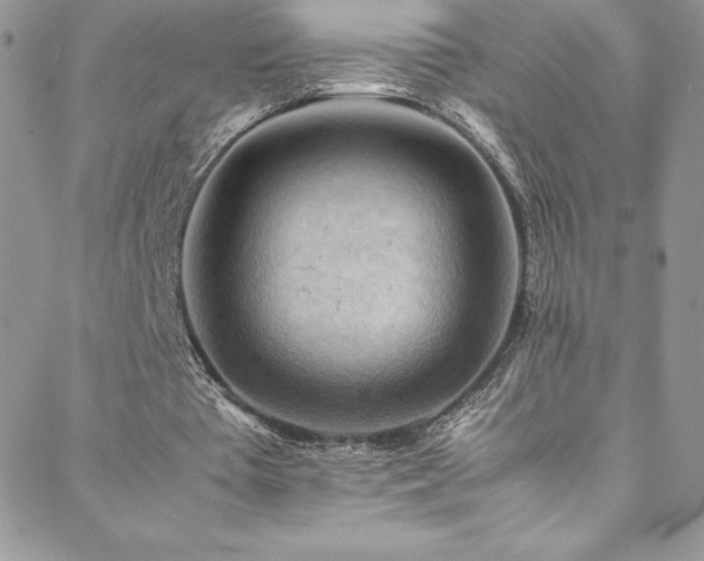 X0000088600385200705251219