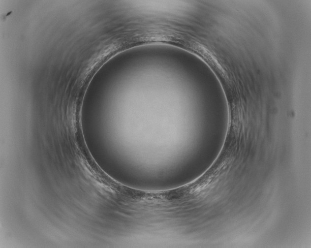 X0000088600386200705251219