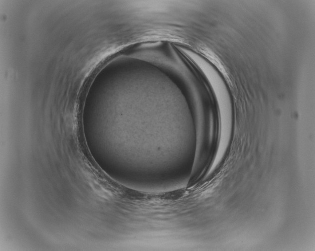 X0000088600387200705251219