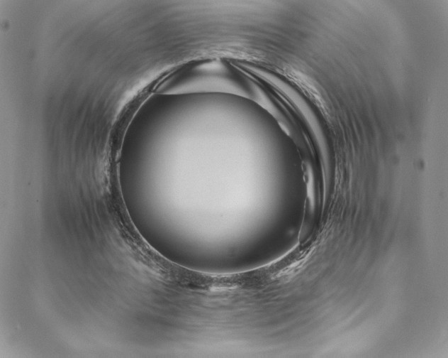 X0000088600388200705251219