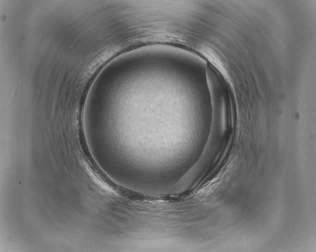 X0000088600389200705251219