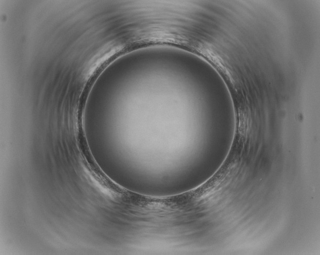 X0000088600390200705251219