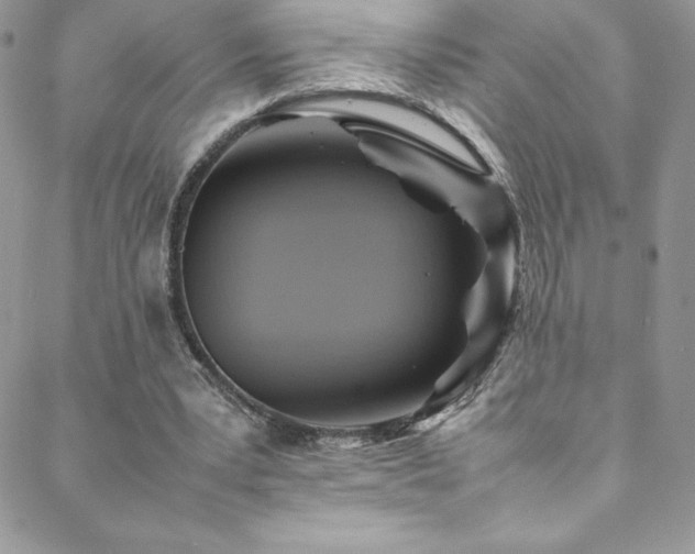 X0000088600391200705251219