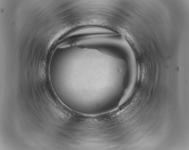 X0000088600392200705251219