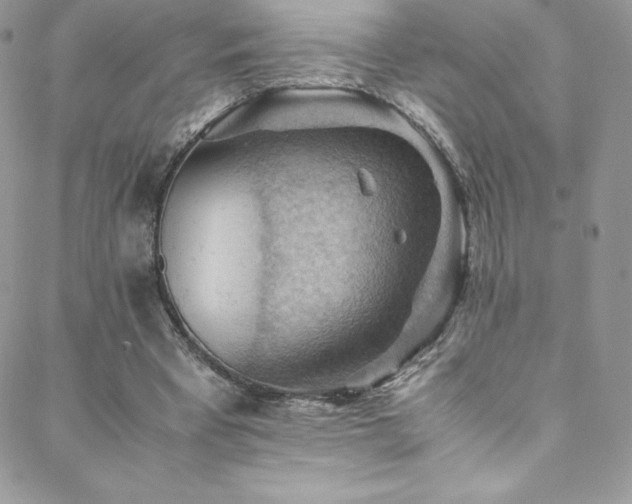 X0000088600393200705251219