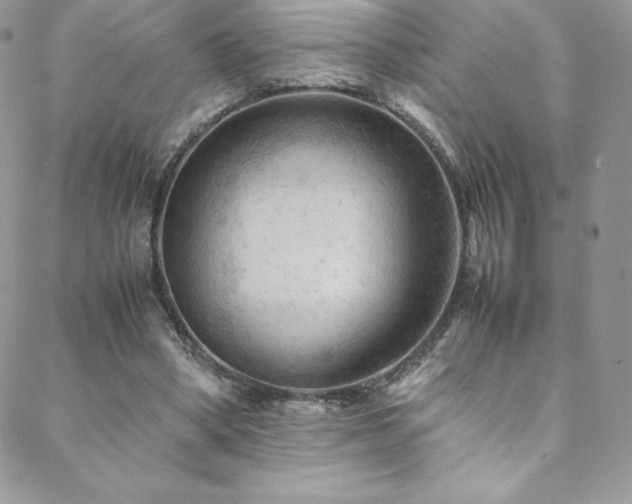 X0000088600394200705251219