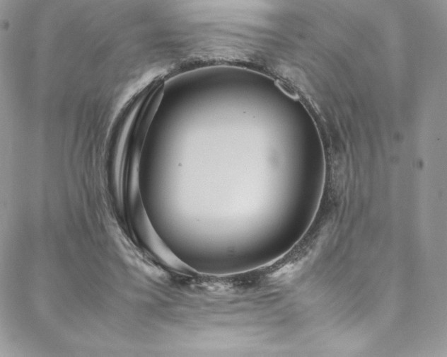 X0000088600395200705251219