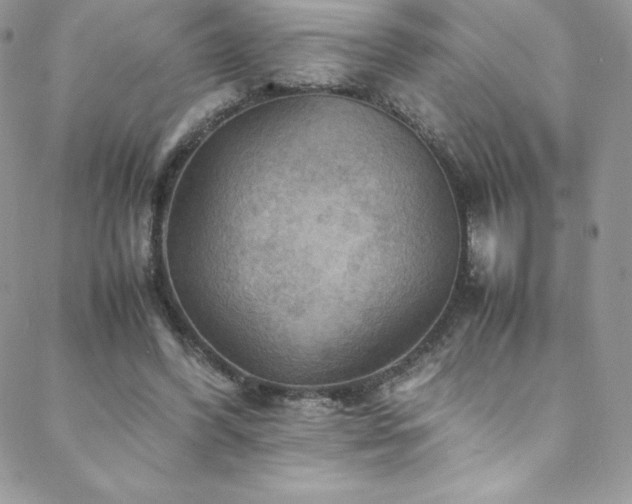 X0000088600396200705251219