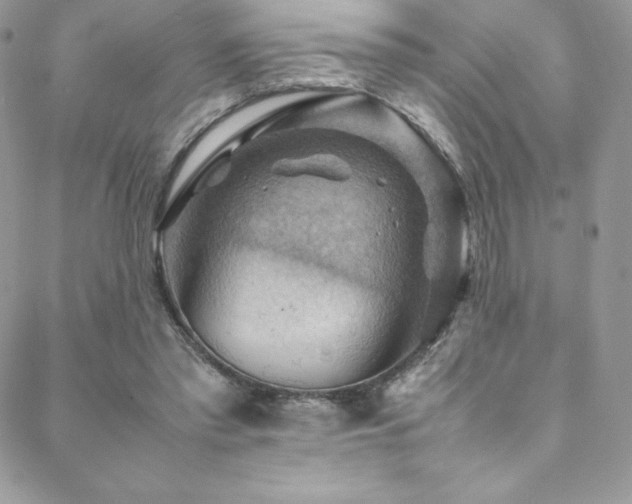 X0000088600397200705251219