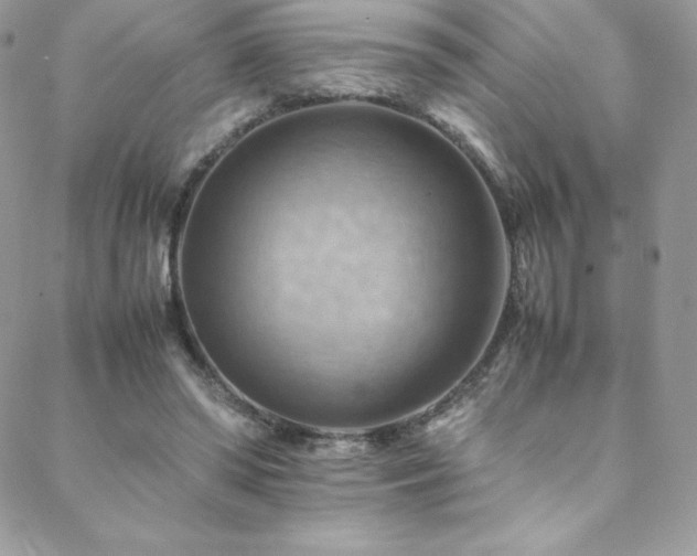 X0000088600398200705251219