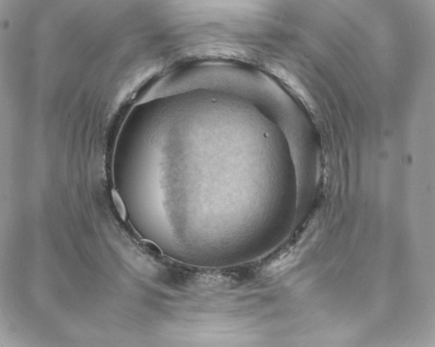 X0000088600399200705251219