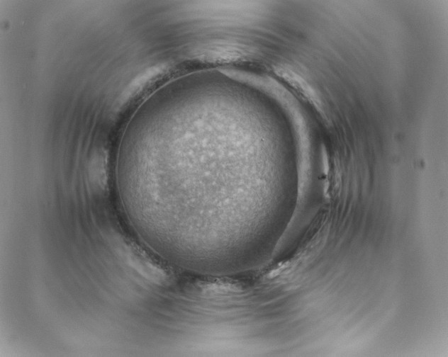 X0000088600400200705251219