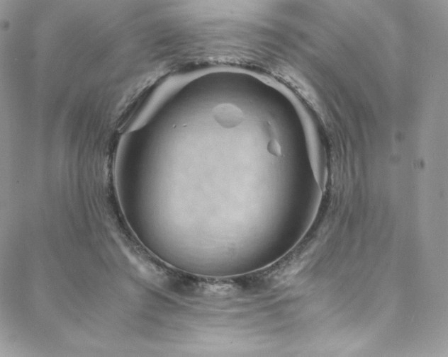 X0000088600401200705251219